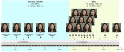 The Efficacy of Short-term Gated Audiovisual Speech Training for Improving Auditory Sentence Identification in Noise in Elderly Hearing Aid Users